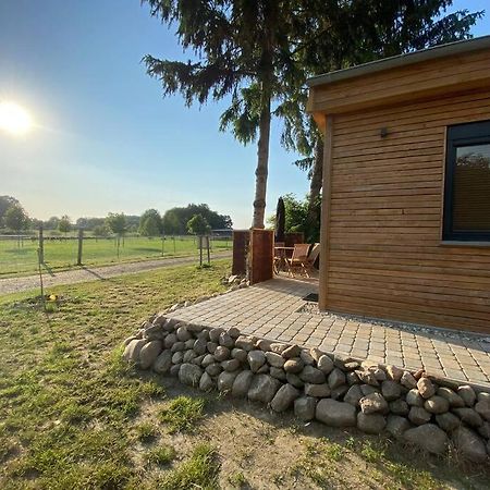 Tiny Haus Straussenblick 2 Villa บาด ฟาลลิงบอสเทล ภายนอก รูปภาพ